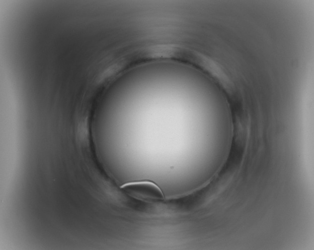 X0000113870681200910011113