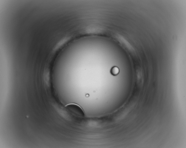 X0000113870684200910011113