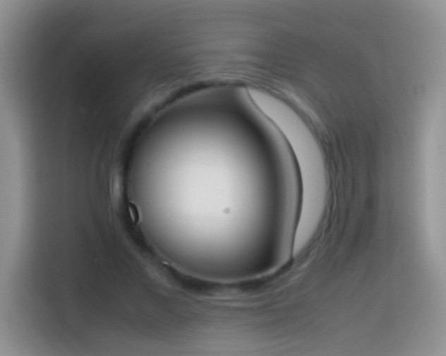 X0000113870685200910011113