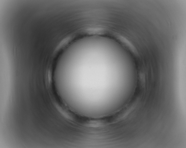 X0000113870686200910011113