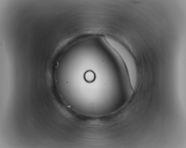 X0000113870688200910011113