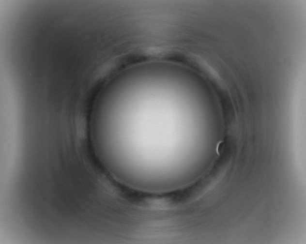 X0000113870689200910011113