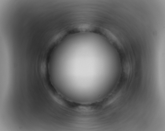 X0000113870690200910011112