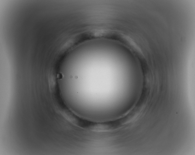 X0000113870691200910011112