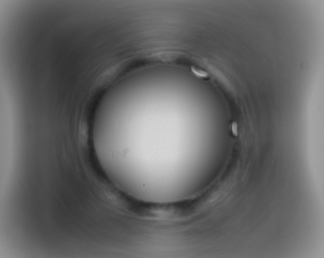 X0000113870693200910011112