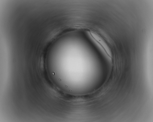 X0000113870696200910011112