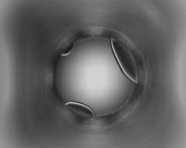 X0000113870697200910011112