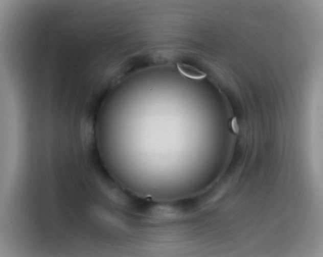 X0000113870699200910011112