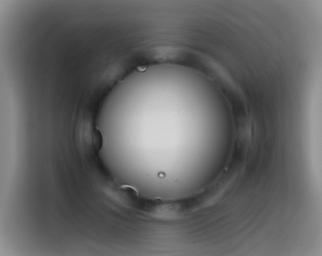 X0000113870700200910011112