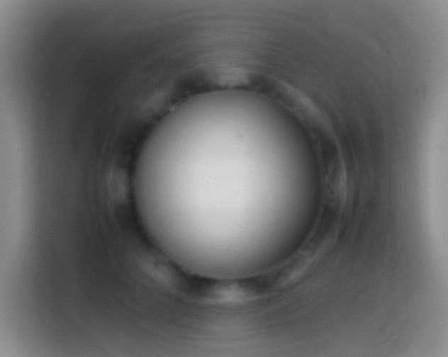 X0000113870704200910011112