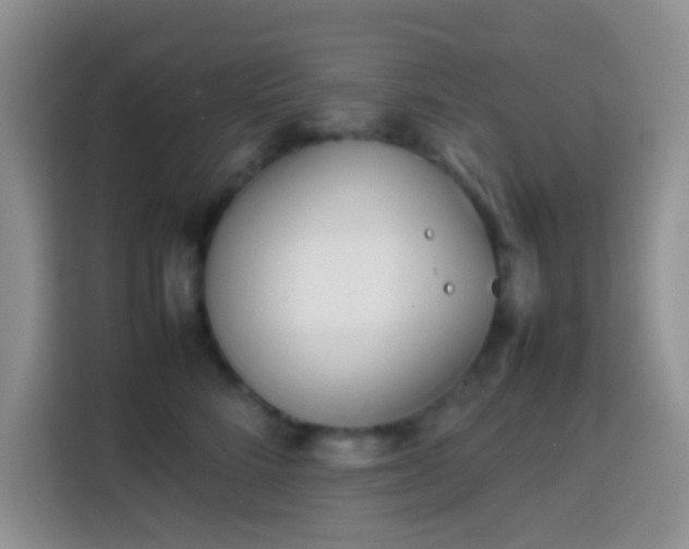 X0000113870712200910011112