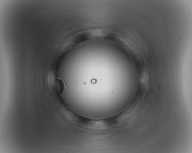 X0000113870715200910011112