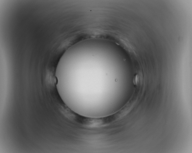 X0000113870719200910011112