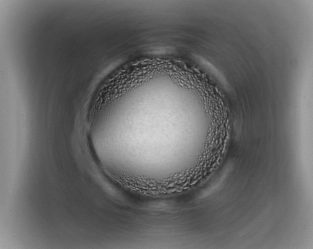 X0000113870721200910011111