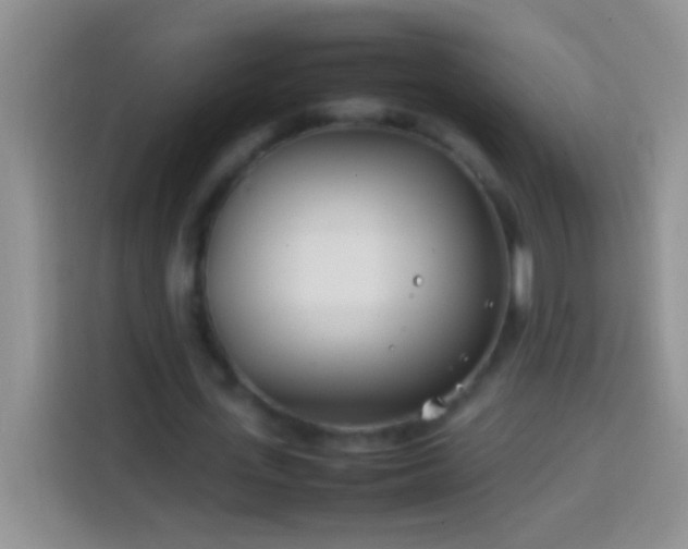 X0000113870723200910011112