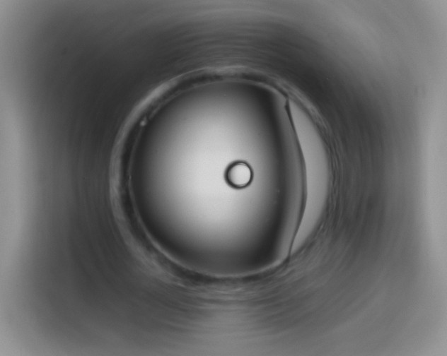 X0000113870724200910011112