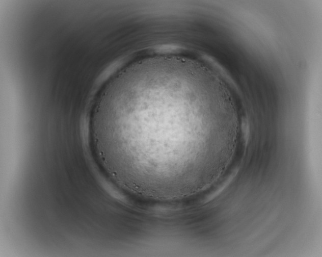 X0000113870725200910011112