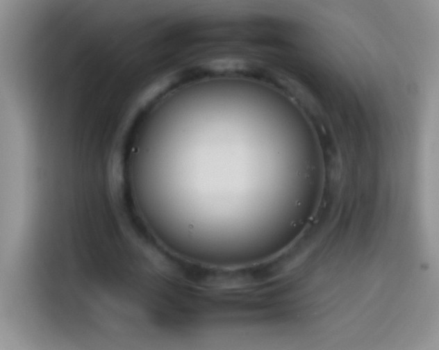 X0000113870727200910011112