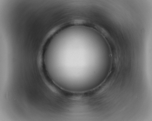 X0000113870728200910011112