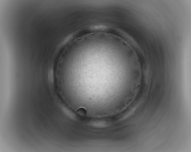 X0000113870729200910011112