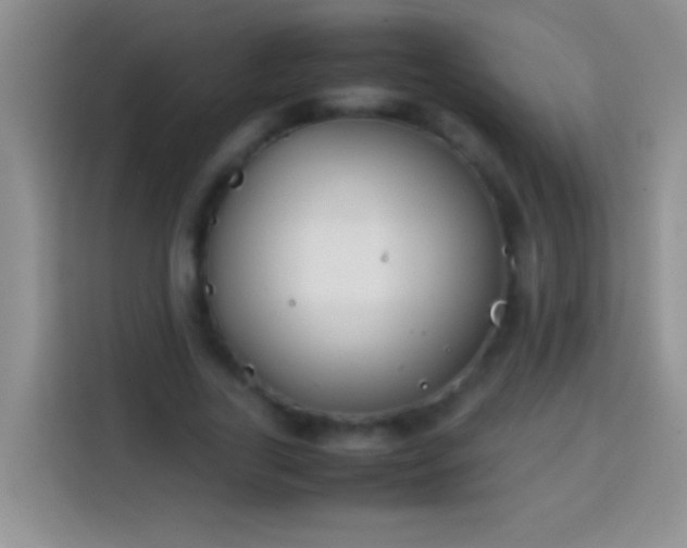 X0000113870731200910011112