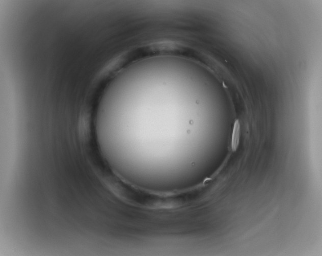 X0000113870735200910011112