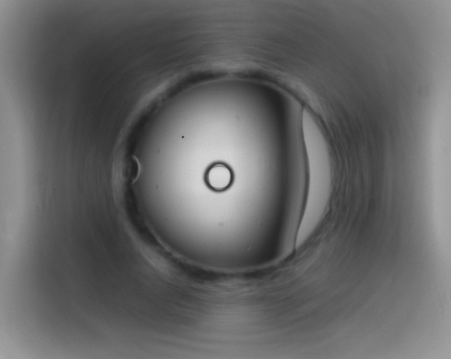 X0000113870736200910011112