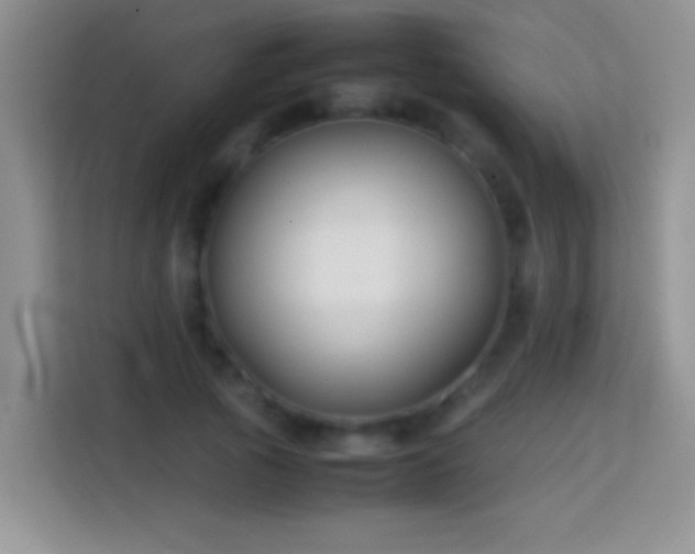 X0000113870737200910011112