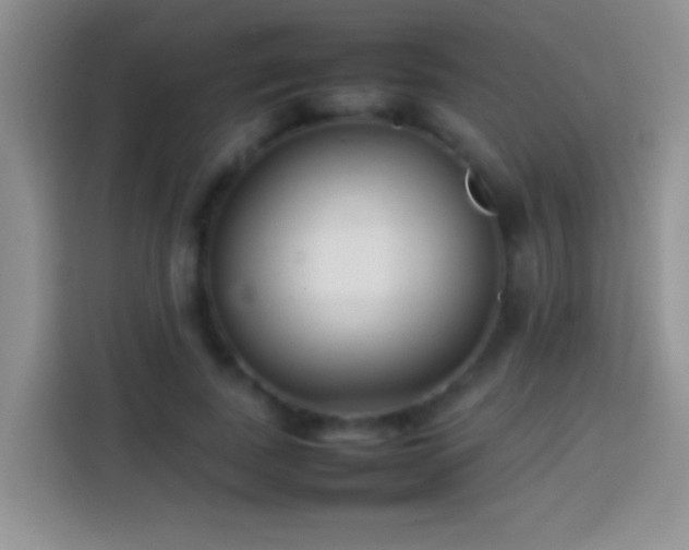 X0000113870739200910011112