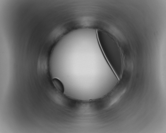 X0000113870740200910011112