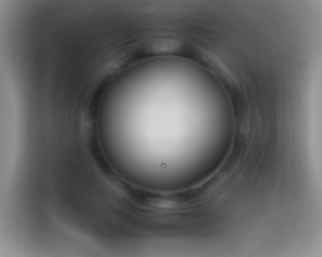 X0000113870743200910011112