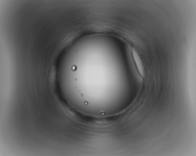 X0000113870744200910011112