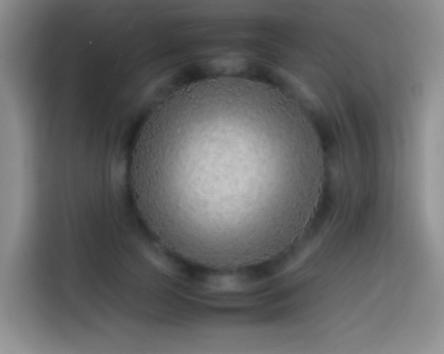 X0000113870745200910011112