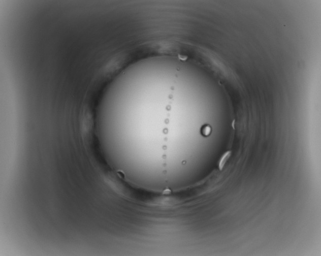 X0000113870748200910011112