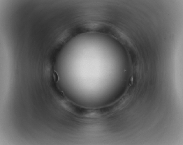 X0000113870750200910011112