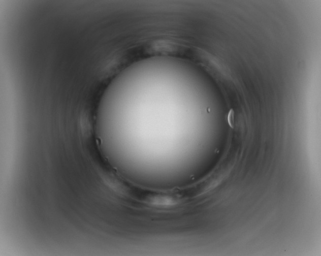 X0000113870751200910011112