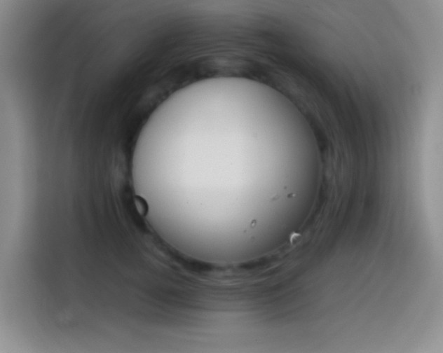 X0000113870752200910011112