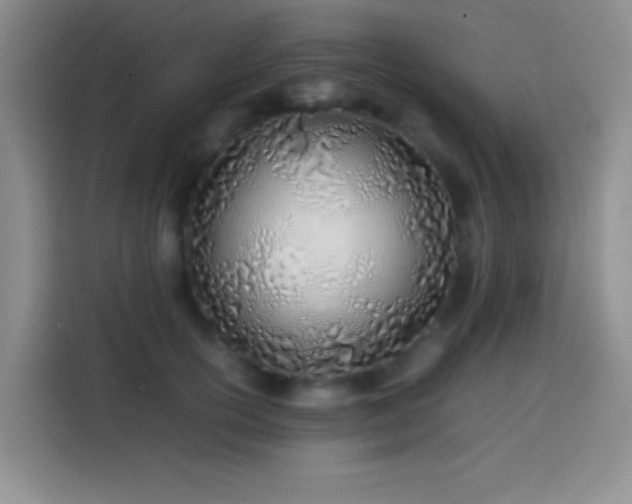 X0000113870754200910011112