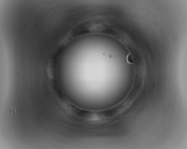 X0000113870755200910011112