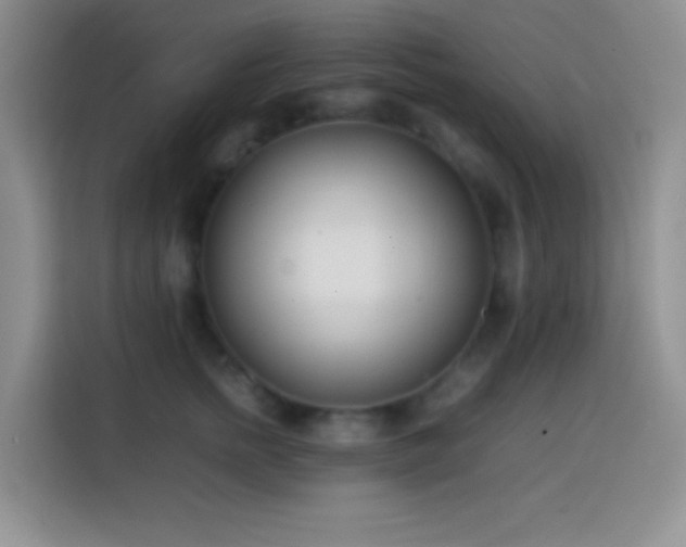 X0000113870758200910011112