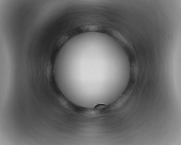 X0000113870760200910011112