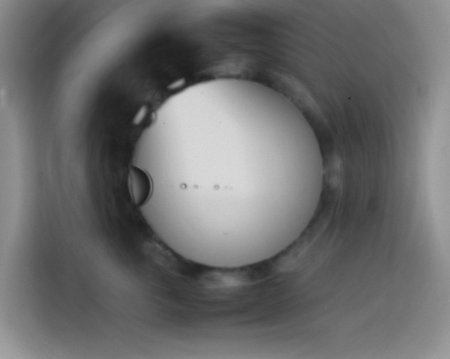 X0000113870763200910011112