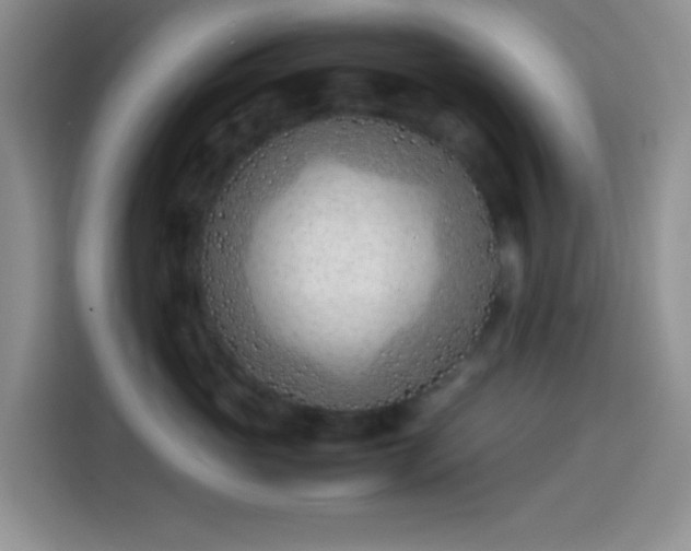 X0000113870765200910011112