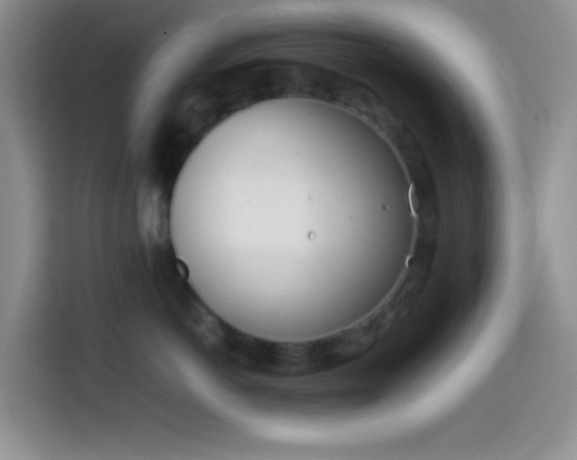 X0000113870766200910011112