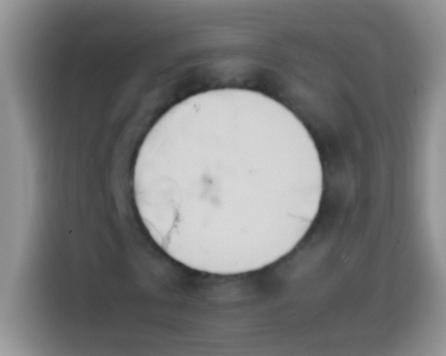 X0000113870769200910011111