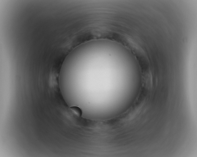 X0000113870770200910011111