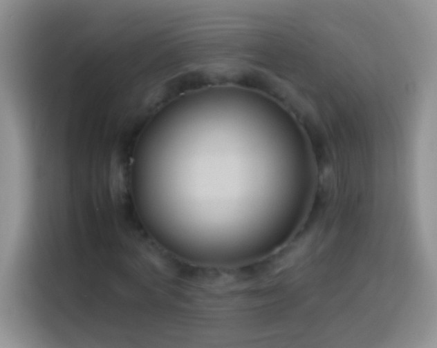 X0000113870772200910011111