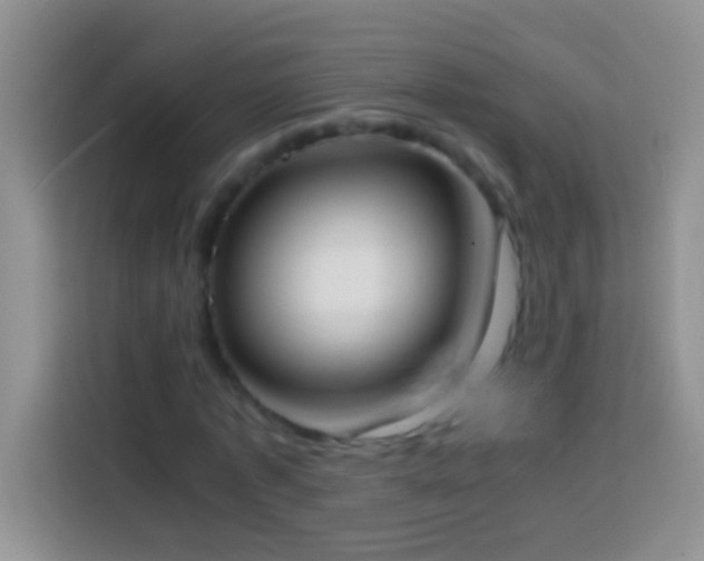 X0000113870773200910011111