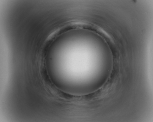 X0000113870775200910011111