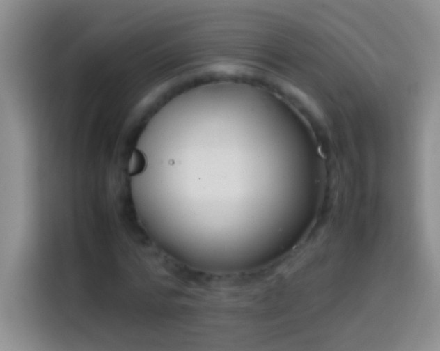 X0000113870776200910011111